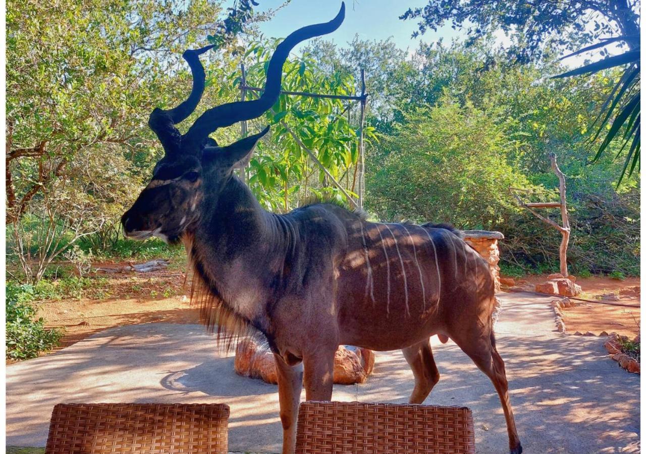 Lion King Villa Marloth Park Exterior photo