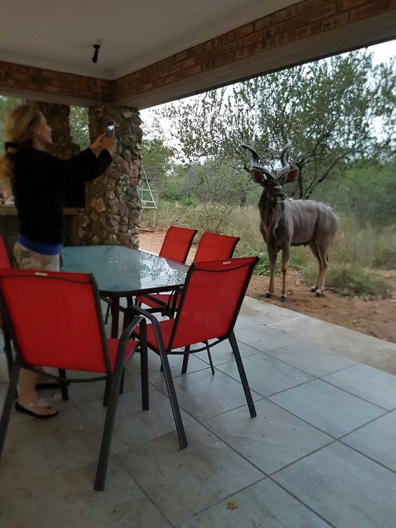 Lion King Villa Marloth Park Exterior photo